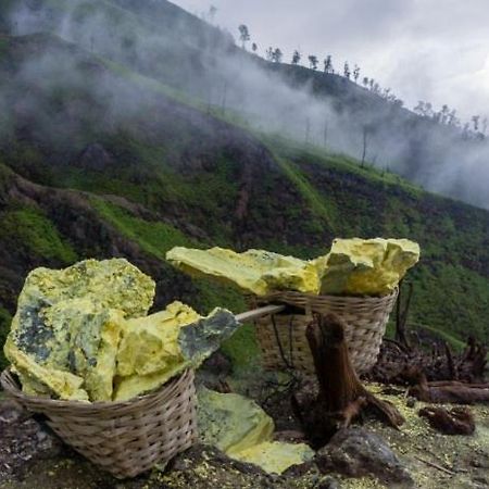 Ijen Basecamp & Homestay Ketapang  Екстериор снимка