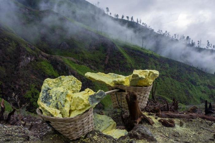 Ijen Basecamp & Homestay Ketapang  Екстериор снимка